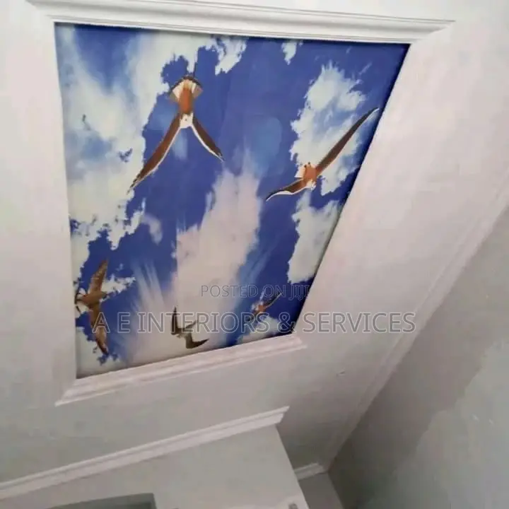 Ceiling Wall Murals