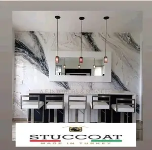 Stuccoat Paint