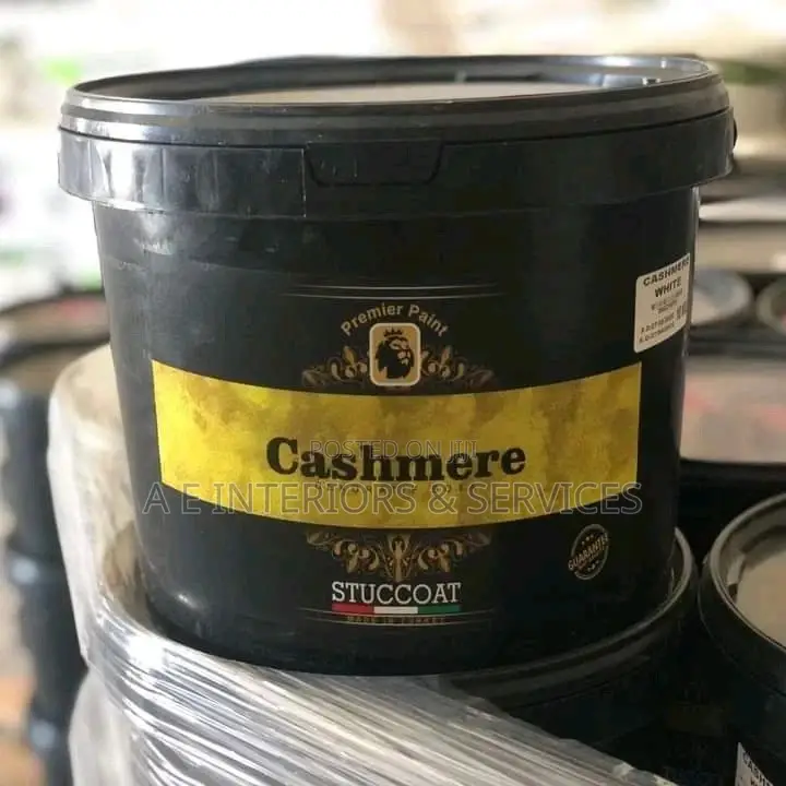 Stuccoat Paint