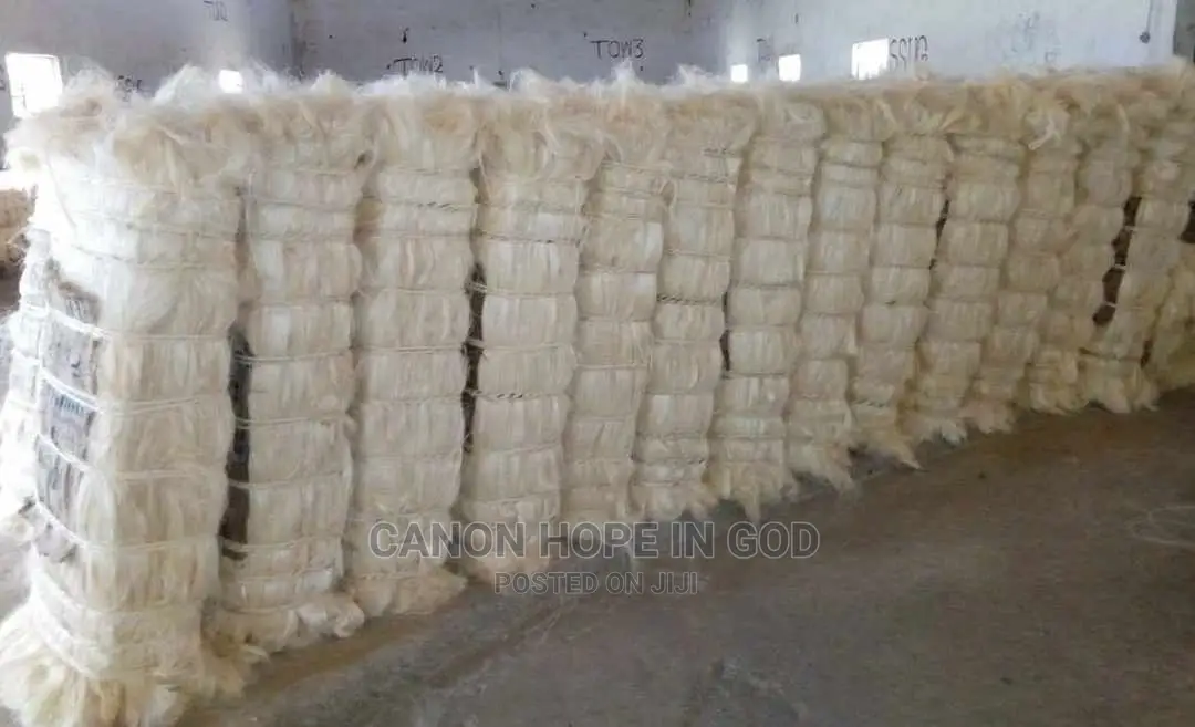 Ceiling And Wall Partition