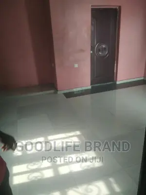 Professional Cleaning Services