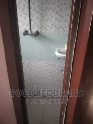 Professional Cleaning Services