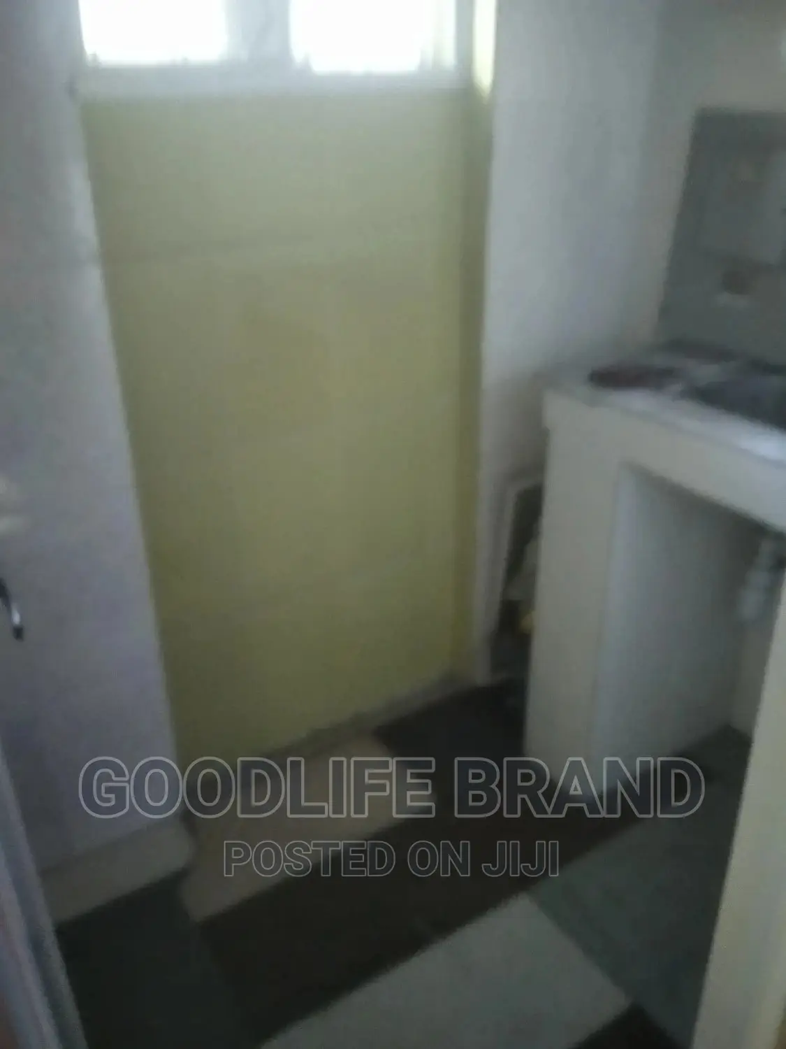 Professional Cleaning Services