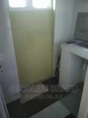Professional Cleaning Services