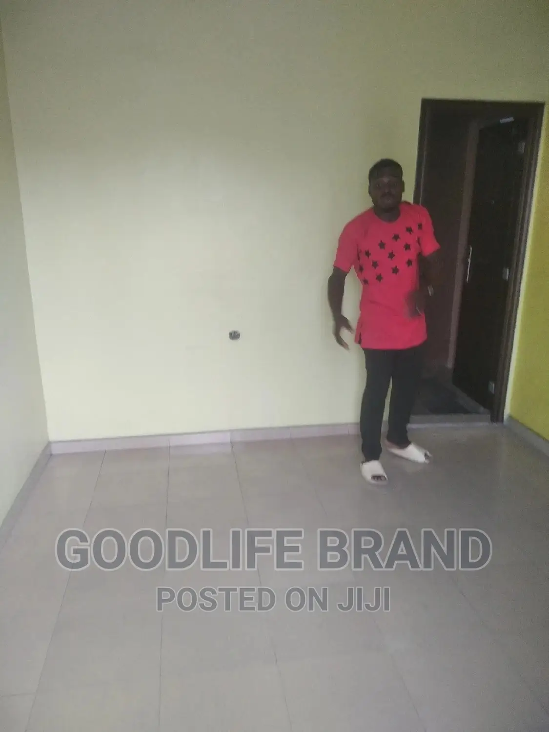 Professional Cleaning Services