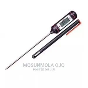 Kitchen Thermometer