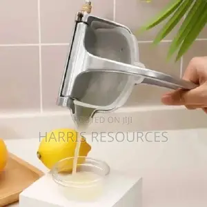 Steel Manual Juice Extractor - Big