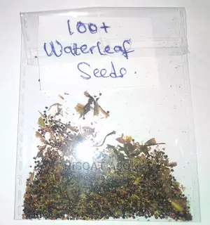 Waterleaf Seeds Waterleave Water Leaf