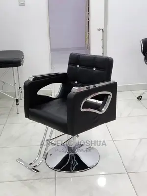 Salon Chair