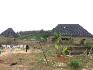 Black And White Shingles Project