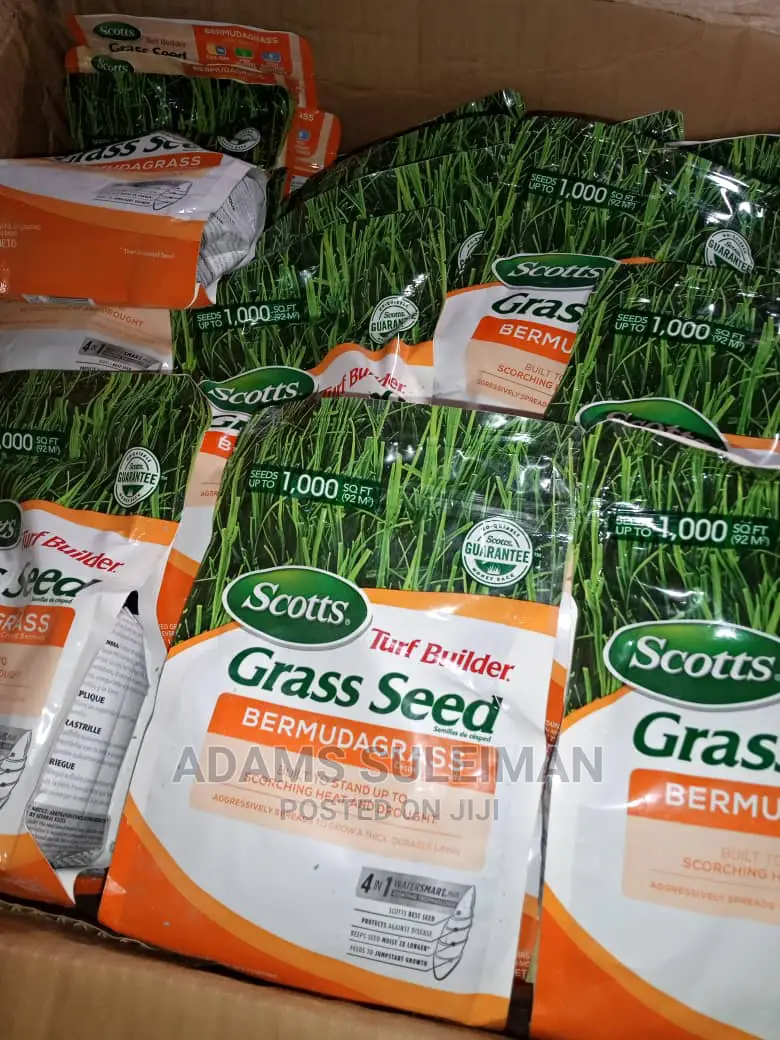 Carpet Grass Seed Bermuda and Livestock Grass(Bracharia) in Kubwa