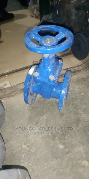 Two and Half Intches Guage Valve.