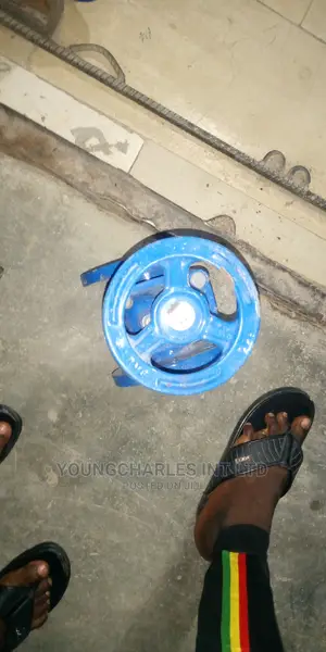 2.5" Gate Valve.