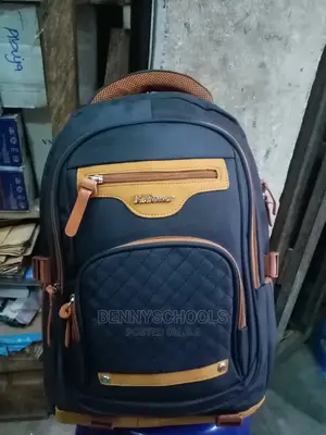 PL Power Backpack/Laptop Bag
