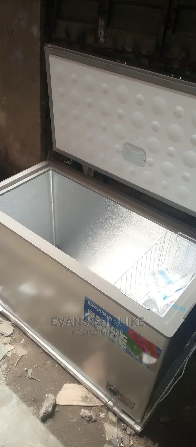 Skyrun Freezer 300 Liter