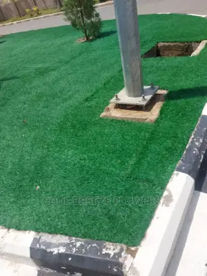 Artificial Grass Available for Sales and Installations