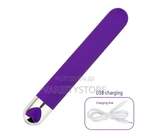 Rechargeable 10 Speed Bullet Vibrator Dildo Vibrator