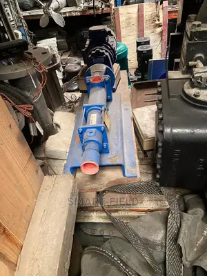 Mono Slurry Pump