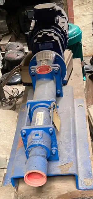 Mono Slurry Pump