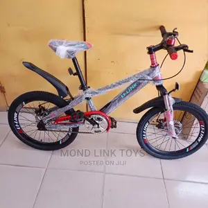 Size 20 Bicycle for Kids