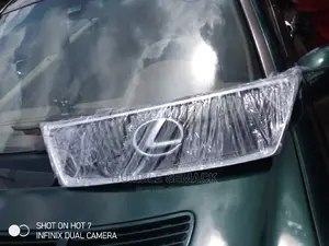 Lexus IS 250 2008 Front Grill.