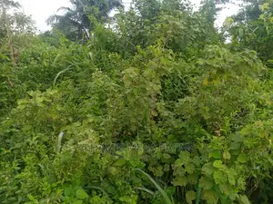 1000 Acres of Farm Land for Sale at 500,000 Per Acre