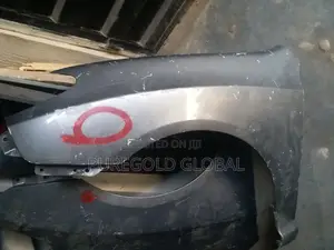 Hyundai Elantra 2006 Model Fender