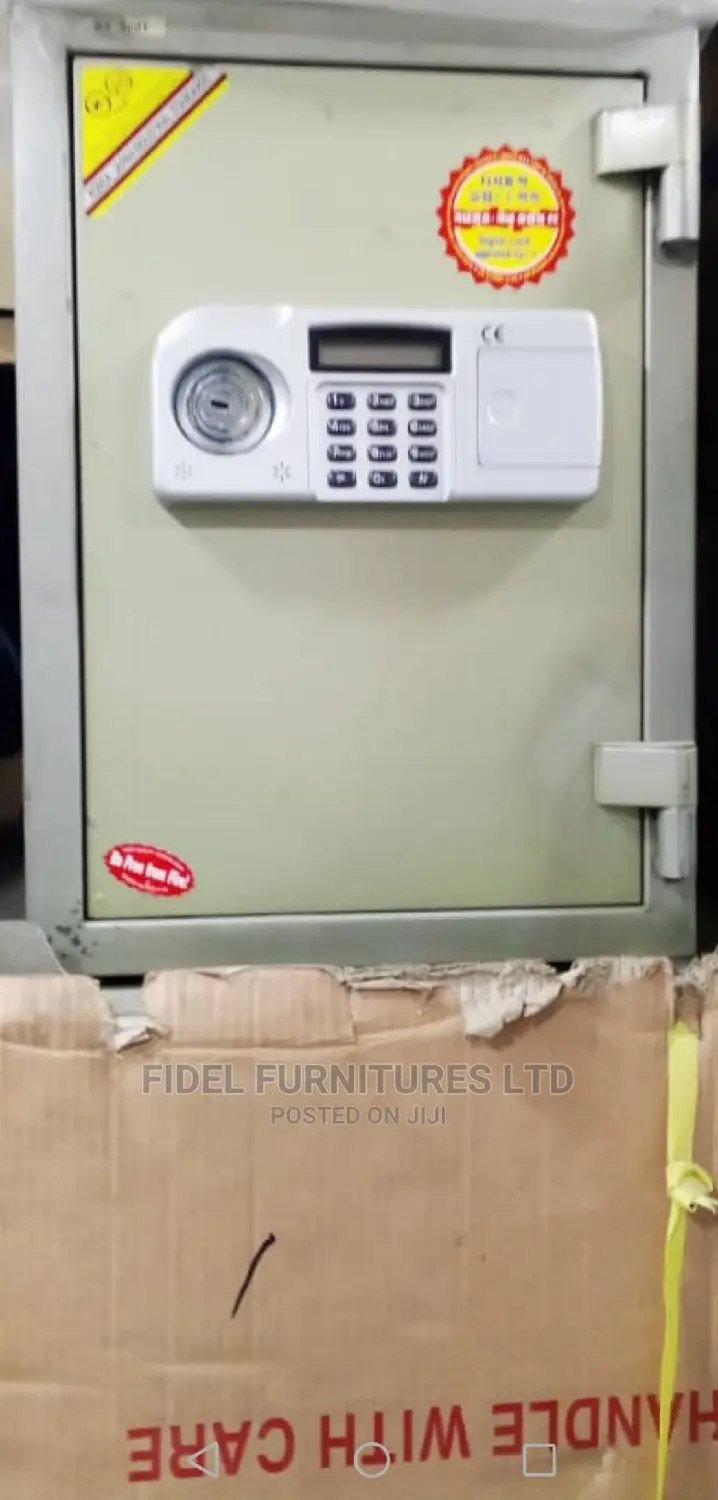 Original Biometric Safe