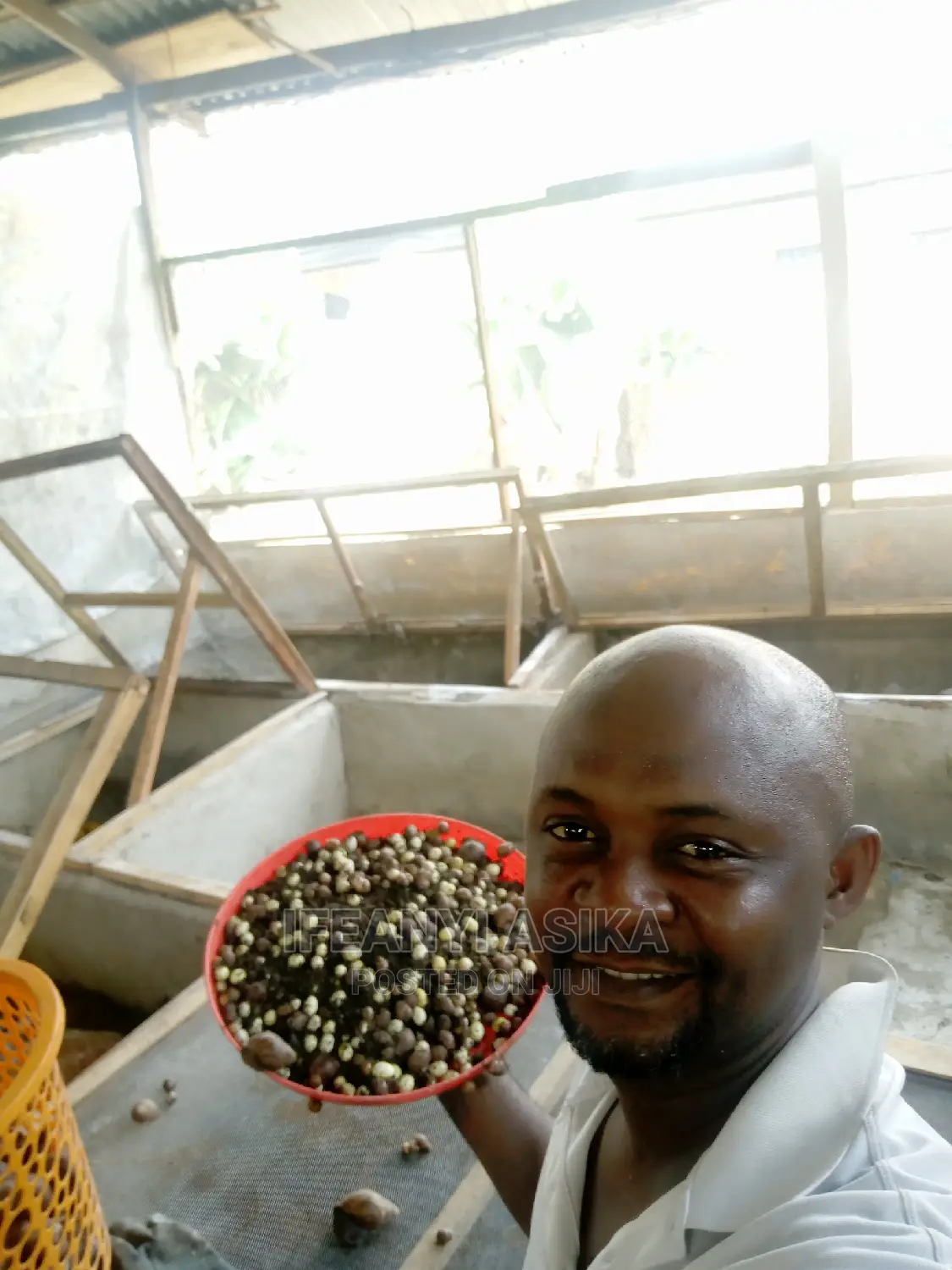 Portharcourt Practical Snail Farming Training