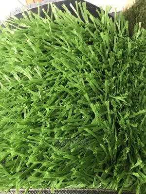 Scanty 65mm Green Green Grass Can Also Be Used for Roof
