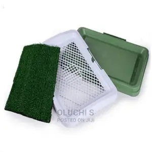 Potty Training Pad for Dogs.