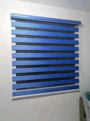 Day Nd Night Windows Blinds