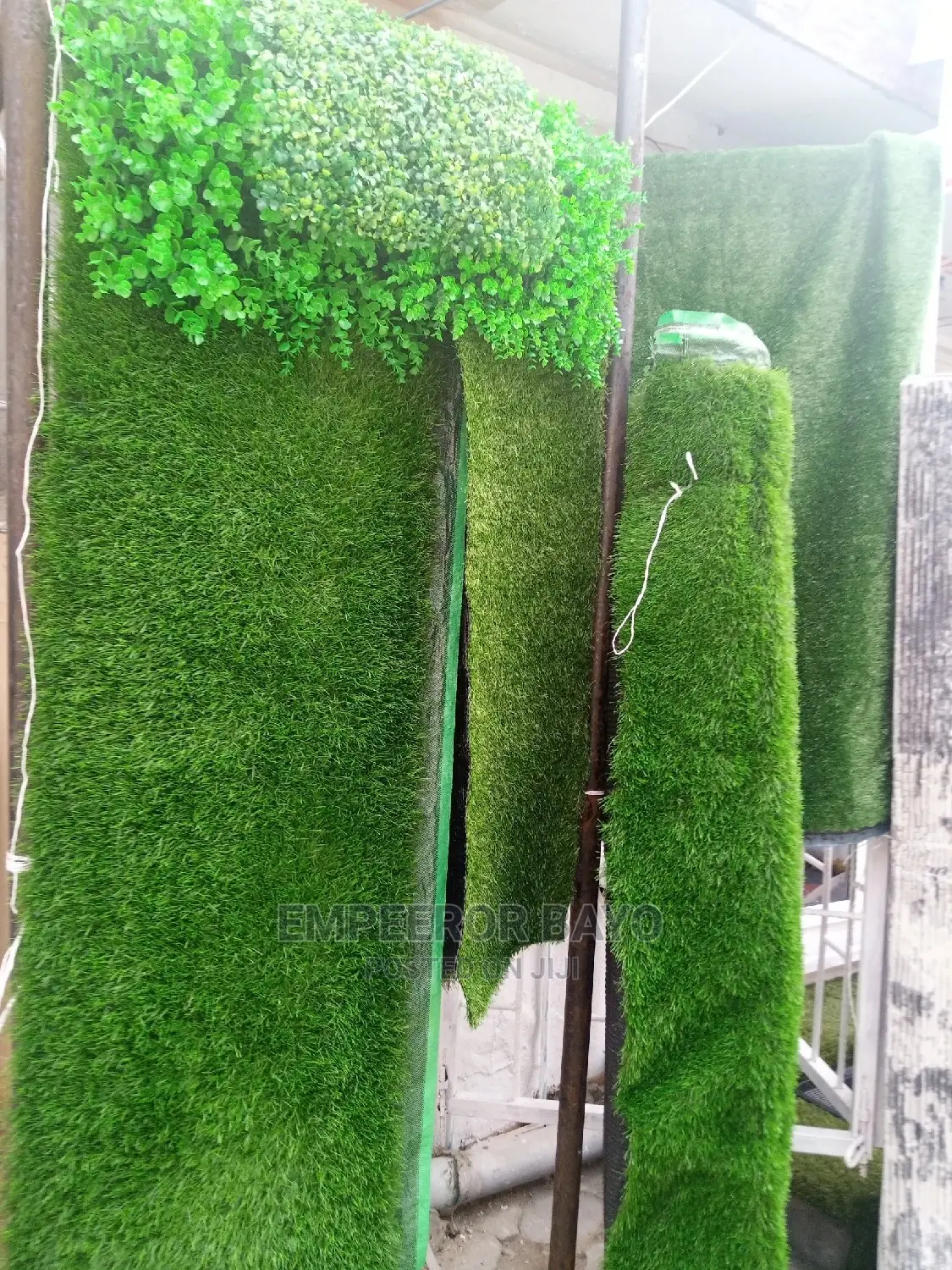 Interior Decor Grass Design
