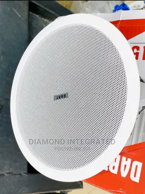 Loud 15 Watts Ceiling Speaker