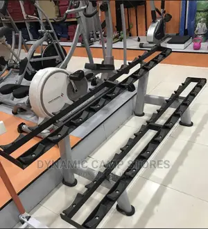 Hexagonal Dumbell Rack A Set Of 10 American Fitness