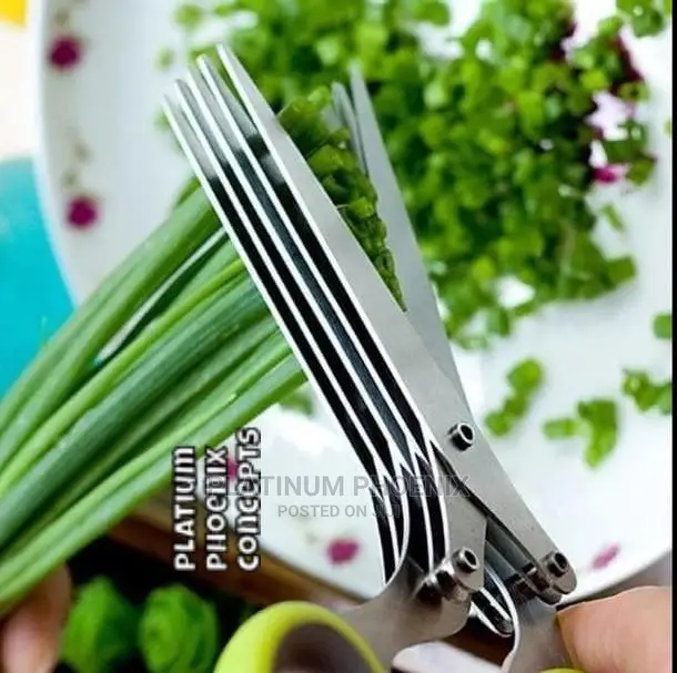 Kitchen Slicer