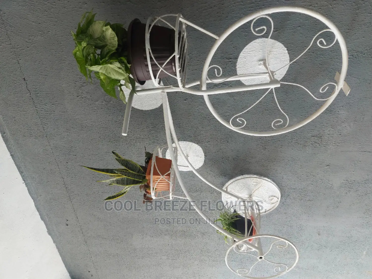 Stronger and Durable Flower Pots