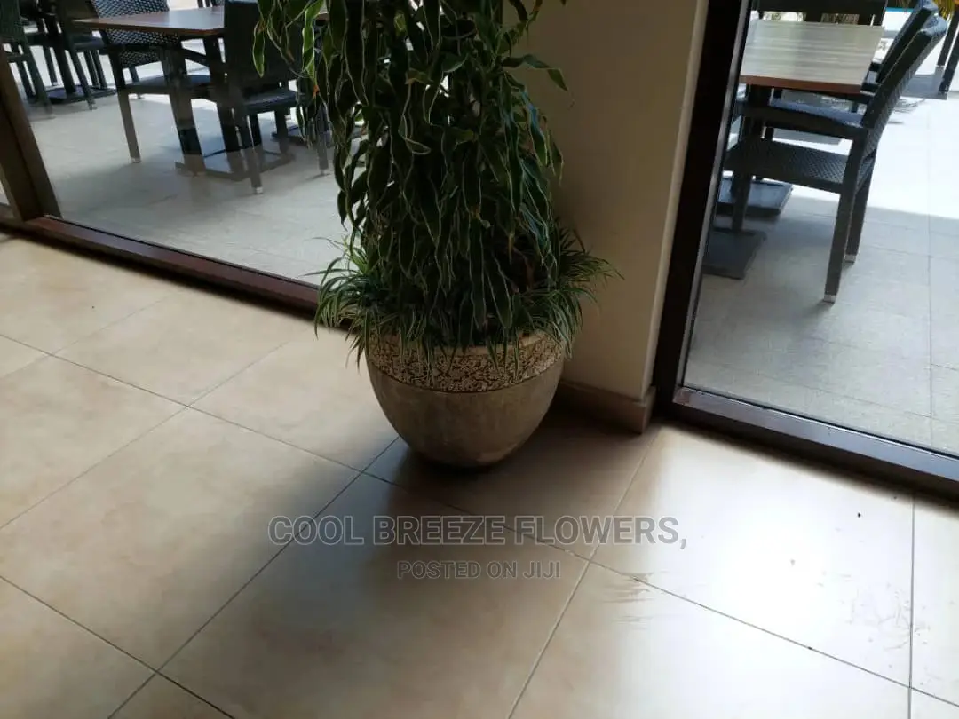 Stronger and Durable Flower Pots