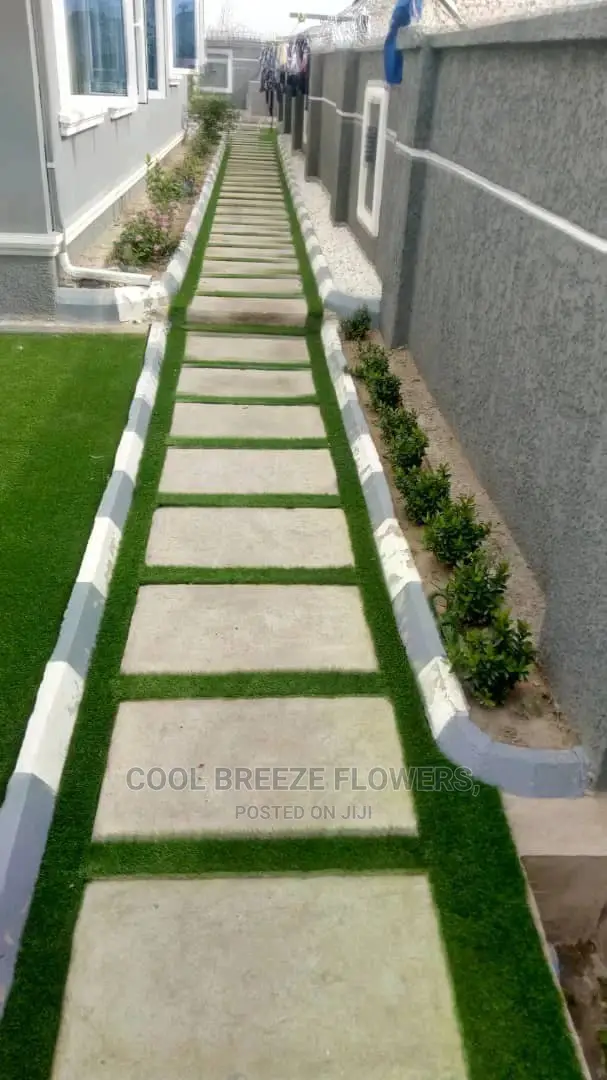 Airpurifying Flowers