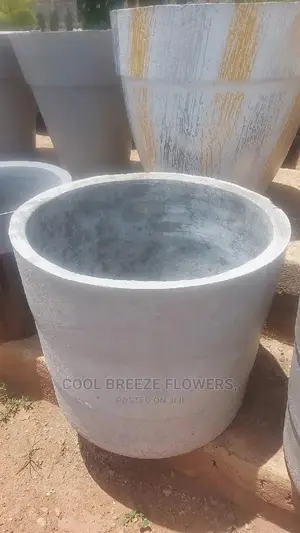 Airpurifying Flowers