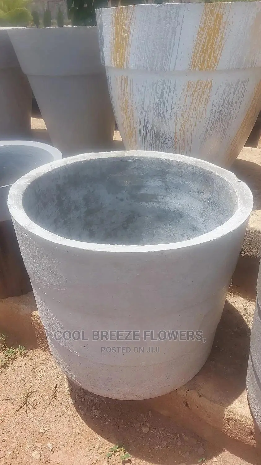 Airpurifying Flowers