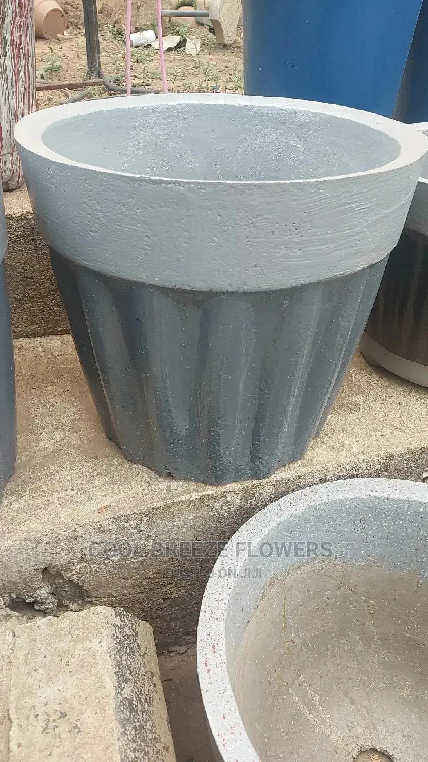Airpurifying Flowers