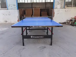 Brand New Indoor Tennis Board