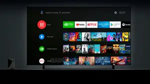 Nvidia Shield Android Tv Pro - 16gb - HDR Streaming
