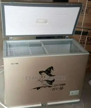 Snowsea Chest Freezer Model BD 308