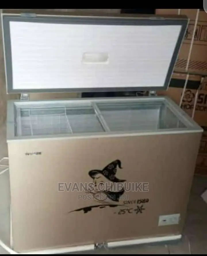 Snowsea Chest Freezer Model BD 308