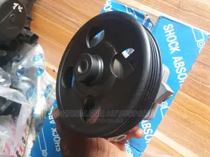 Power Steering Pump Ford Edge 2008(Fomoco)