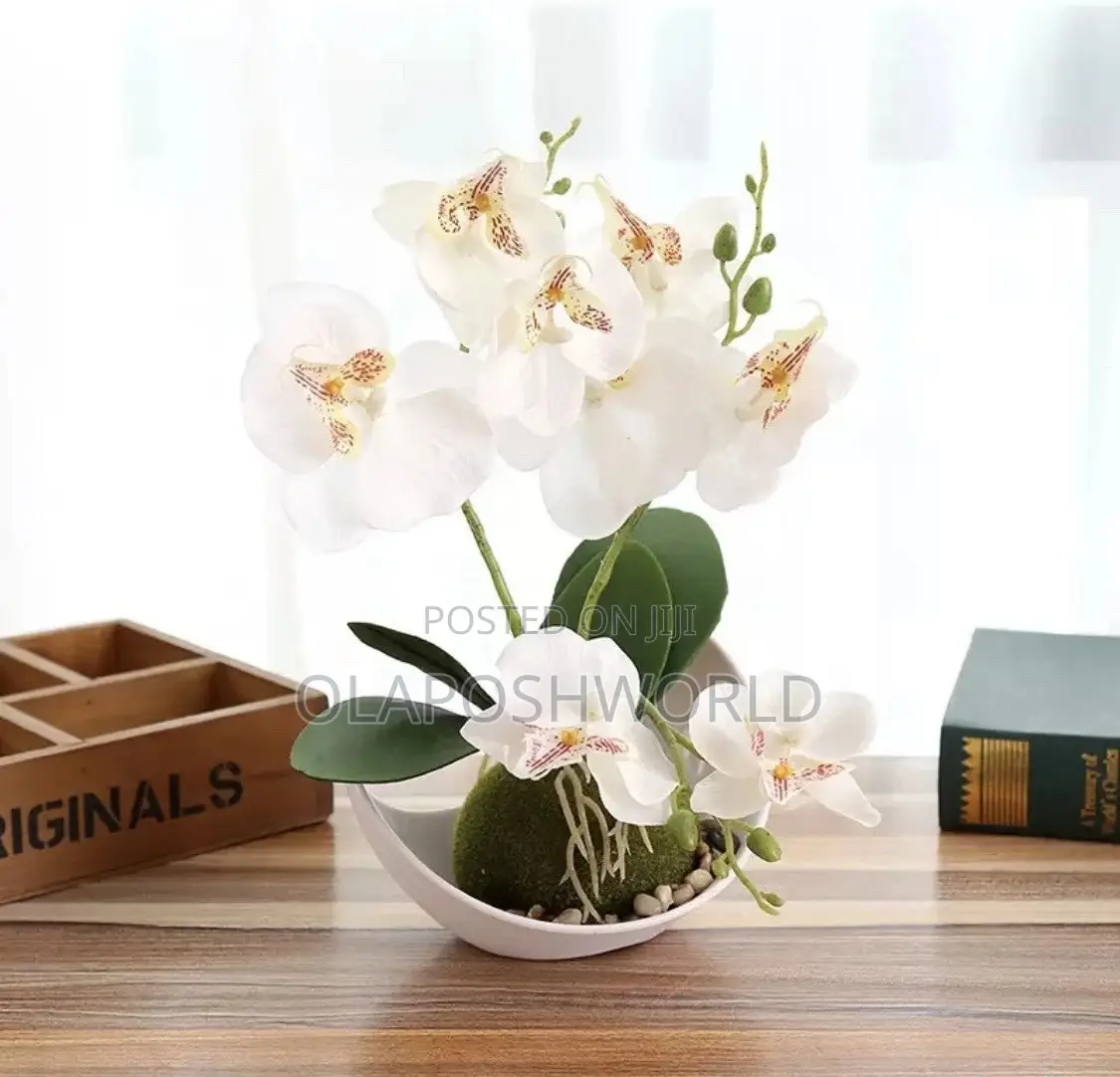 Orchid Flower Pot