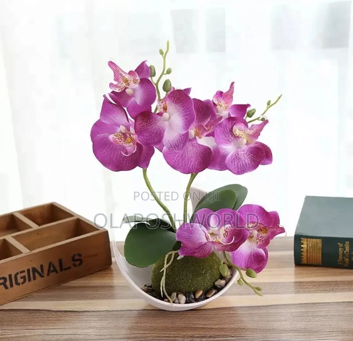 Orchid Flower Pot