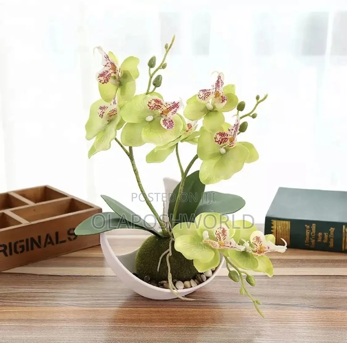 Orchid Flower Pot